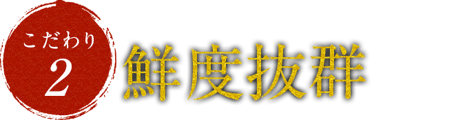 全国280ヶ所より直送の朝獲れ鮮魚!鮮度抜群