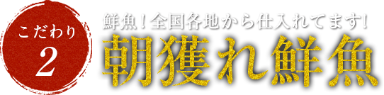 全国280ヶ所より直送の朝獲れ鮮魚!鮮度抜群